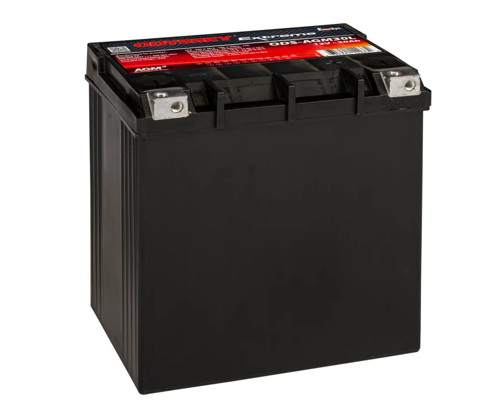 alternate profile Odyssey AGM30L