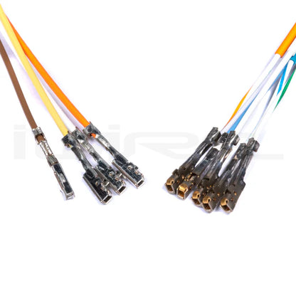 AVCS Bulkhead Kit